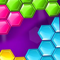 Block Hexa Puzzle King