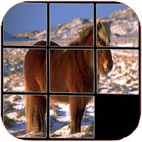 Horses Puzzle, one is hidden.