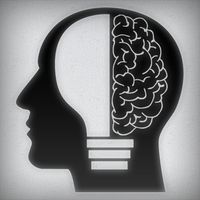 Puzzle Your Brain