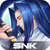 SNK INTERACTIVE
