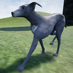 Greyhound Dog Simulator