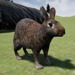 Happy Rabbit Simulator