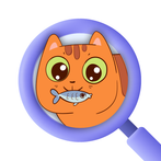 Find Hidden Objects Brain Game