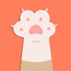 Dog versus angry cat fight!