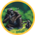 Tunza Games