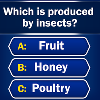 Trivia - Quiz Games