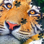 Jigsaw Puzzles Classic
