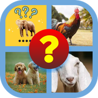 Tebak Gambar Hewan Lucu Unik