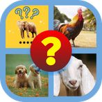 Tebak Gambar Hewan Lucu Unik