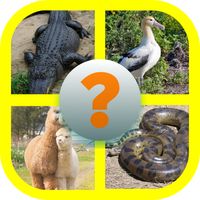 Learn English (Animals)