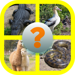 Learn English (Animals)