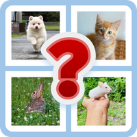 4 PICS 1 WORD (SAH Developers)