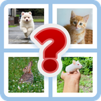 4 PICS 1 WORD (SAH Developers)