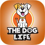 DogLife: Play And Run