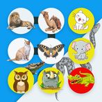 FIND ANIMALS