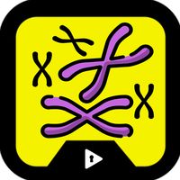 Escapeplay Divisão Celular