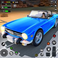 Long Road Trip Car Driving 23