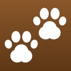 Popular Dog Breeds - My Pet