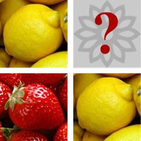 Concentrores Train Your Memory