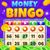 Funny Casual Bingo & Slots Game Studio