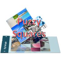 Puzzy Squares