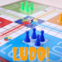 Ludo Game- Dice Board Game