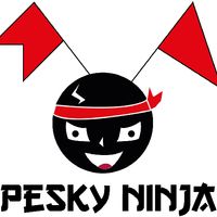 Pesky Ninja