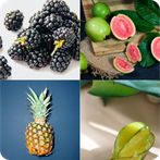 Game Puzzle Nama-nama Buah