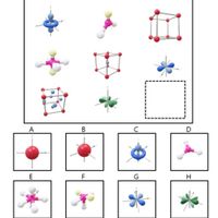 DanielYi IQ Test Championship1