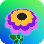 Color Flower : Color Petal 3D