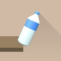 Flip Bottle 3D