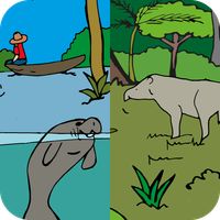 Amazônia - a várzea e a flores