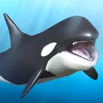 Orca and marine mammals