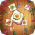 W STEVS APP