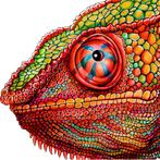 Chameleon