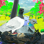 Flying Bird pigeon Games