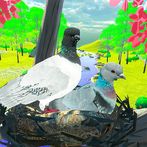 Flying Bird pigeon Games