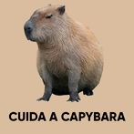 Cuida a Capybara