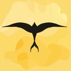 The Swallow