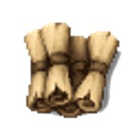 Le pergamene del sapere