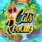 Cats Rescue
