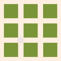 Hermann Grid