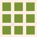 Hermann Grid