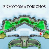 ENMOTOMATOBICHOS