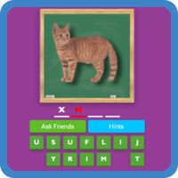 Fun and Learn: Animal Quiz