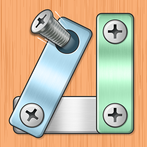 Screw Pin Puzzle: Nuts & Bolts