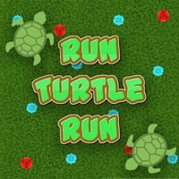 Turtle Race