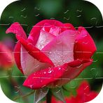 Flower Jigsaw Puzzle