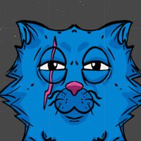 Orbital Cat