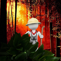 Wild Lostie: Survival Test